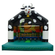 inflatable bouncer